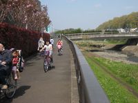 IMG_4191 IMG_4191