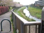 IMG_4193 IMG_4193