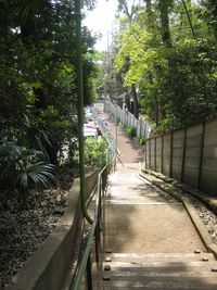 IMG_4287 IMG_4287