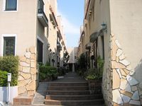 IMG_4240 IMG_4240