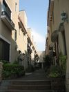 IMG_4239 IMG_4239