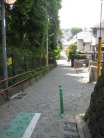 IMG_4316 IMG_4316