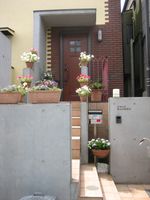 IMG_4479 IMG_4479