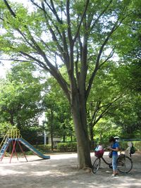 IMG_4534 IMG_4534