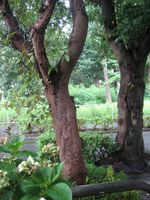 IMG_4536 IMG_4536