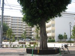 IMG_4577 IMG_4577