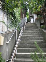 IMG_4558 IMG_4558
