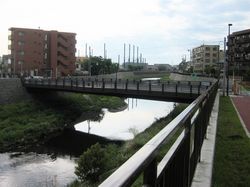 IMG_4294 IMG_4294