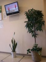 画像-0002 画像-0002