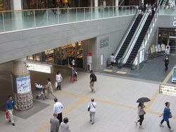 IMG_4460 IMG_4460