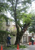 IMG_4486 IMG_4486