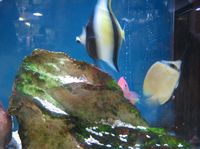IMG_4336 IMG_4336
