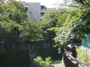 IMG_4603 IMG_4603