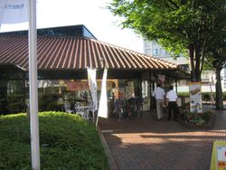 IMG_4650 IMG_4650