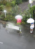 IMG_4674 IMG_4674
