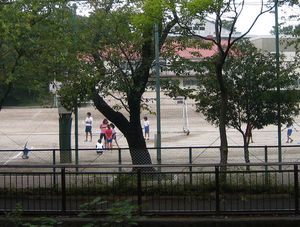IMG_4704 IMG_4704