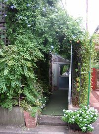 IMG_4710 IMG_4710