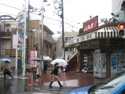 IMG_4804 IMG_4804