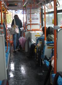 IMG_4815 IMG_4815
