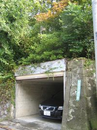 IMG_4834 IMG_4834