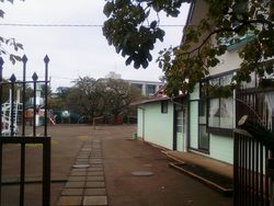 画像-0005 画像-0005