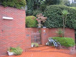 IMG_4799 IMG_4799