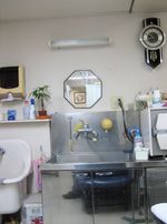 IMG_4870 IMG_4870