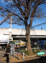 IMG_4899 IMG_4899