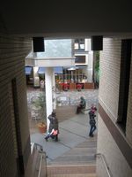 IMG_4922 IMG_4922