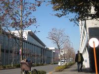 IMG_4886 IMG_4886