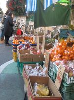 IMG_4939 IMG_4939