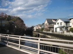 IMG_4944 IMG_4944