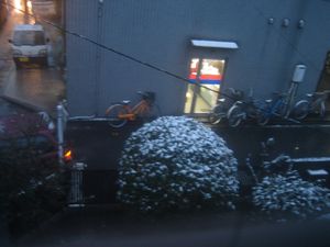 IMG_5125 IMG_5125