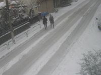 IMG_5136 IMG_5136
