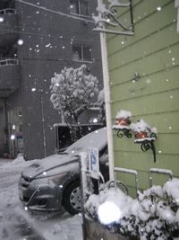 IMG_5171 IMG_5171