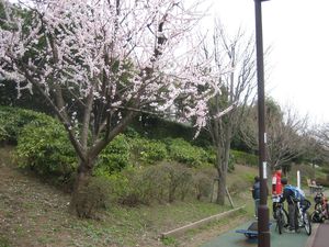 IMG_5316 IMG_5316