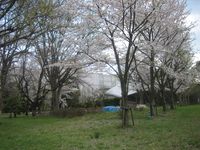 IMG_5349 IMG_5349