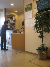 IMG_5381 IMG_5381