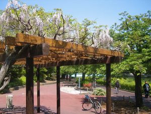 IMG_5391 IMG_5391