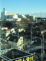 IMG_5044 IMG_5044