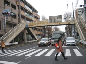 IMG_5111 IMG_5111