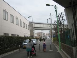 IMG_5269 IMG_5269