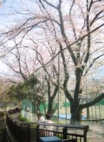 IMG_5360 IMG_5360