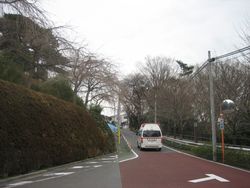 IMG_5280 IMG_5280