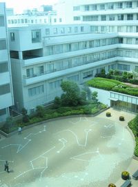 IMG_5428 IMG_5428