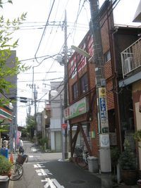 IMG_5523 IMG_5523