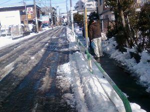 画像-0005 画像-0005