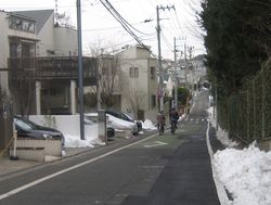 IMG_5160 IMG_5160