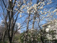 IMG_5237 IMG_5237