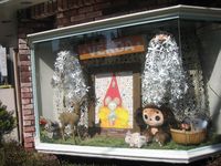 IMG_5231 IMG_5231